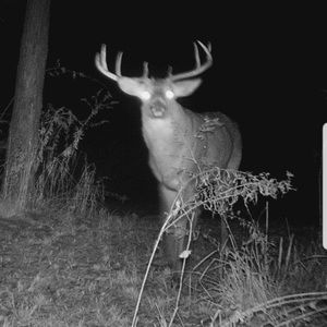 Meet your Posher, Paul